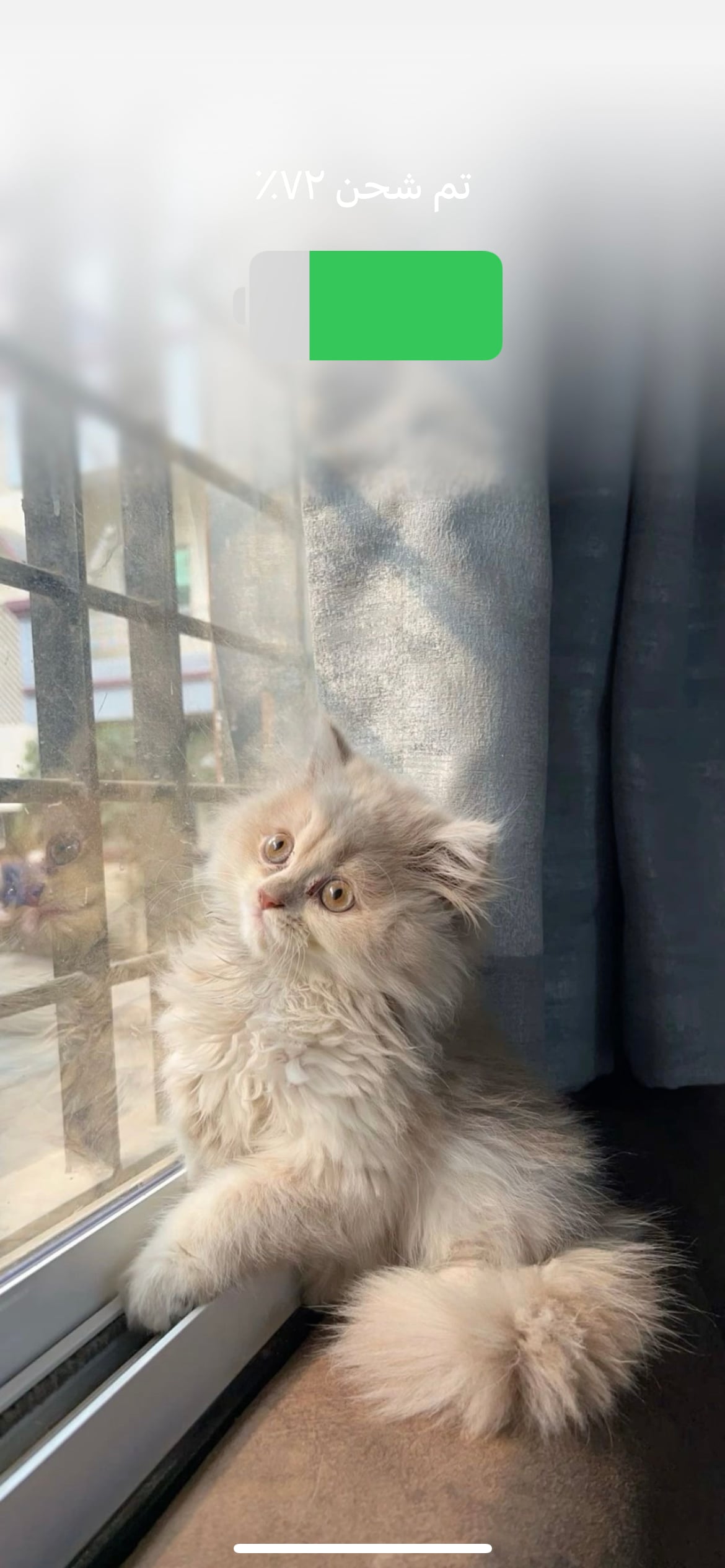 ᴍᴏᴏɴ 