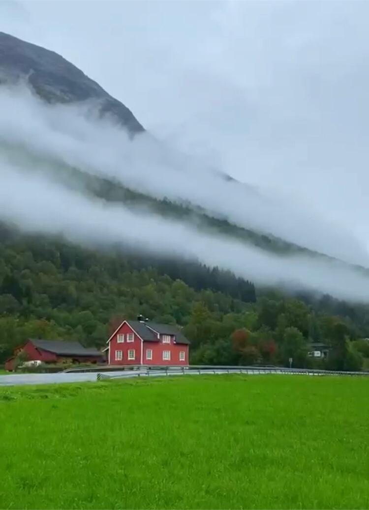 روان الزهراني