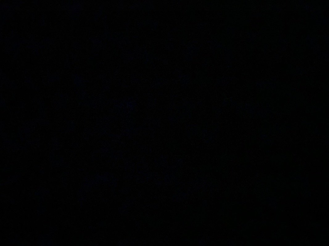ريان العتيبي