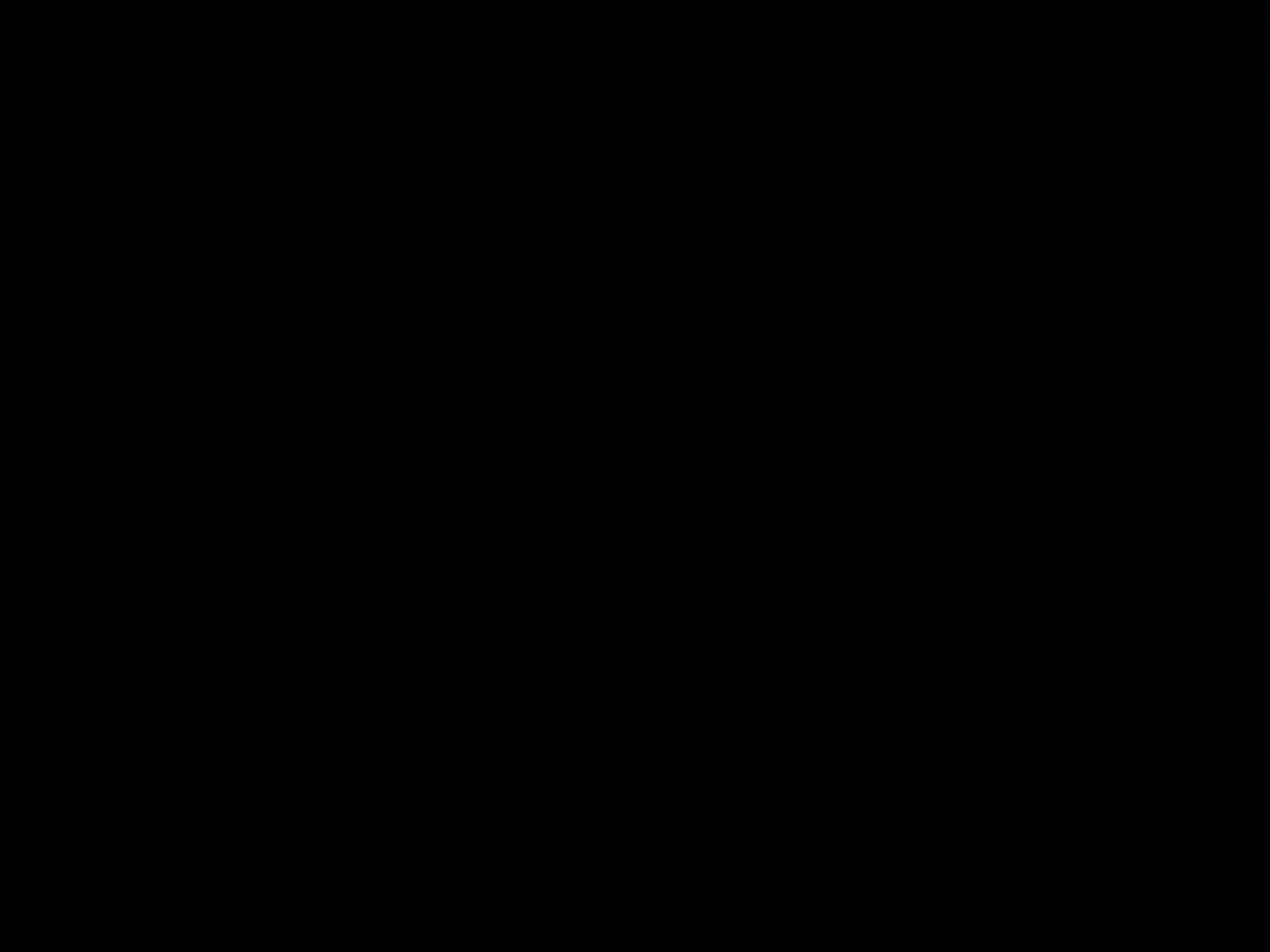 لين الرويلي