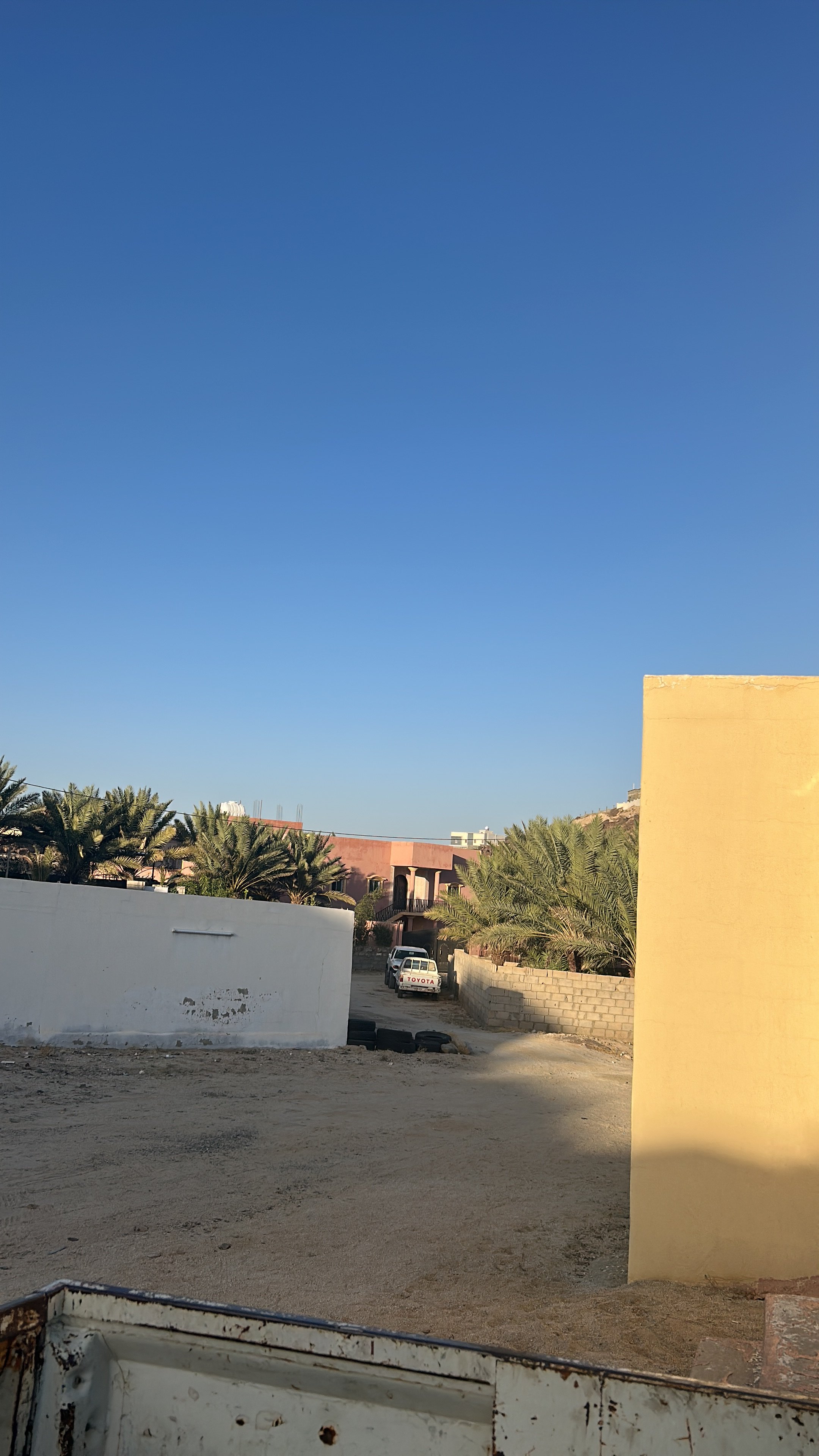 محسن العمري