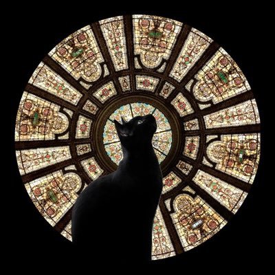 نجاح الحامدي