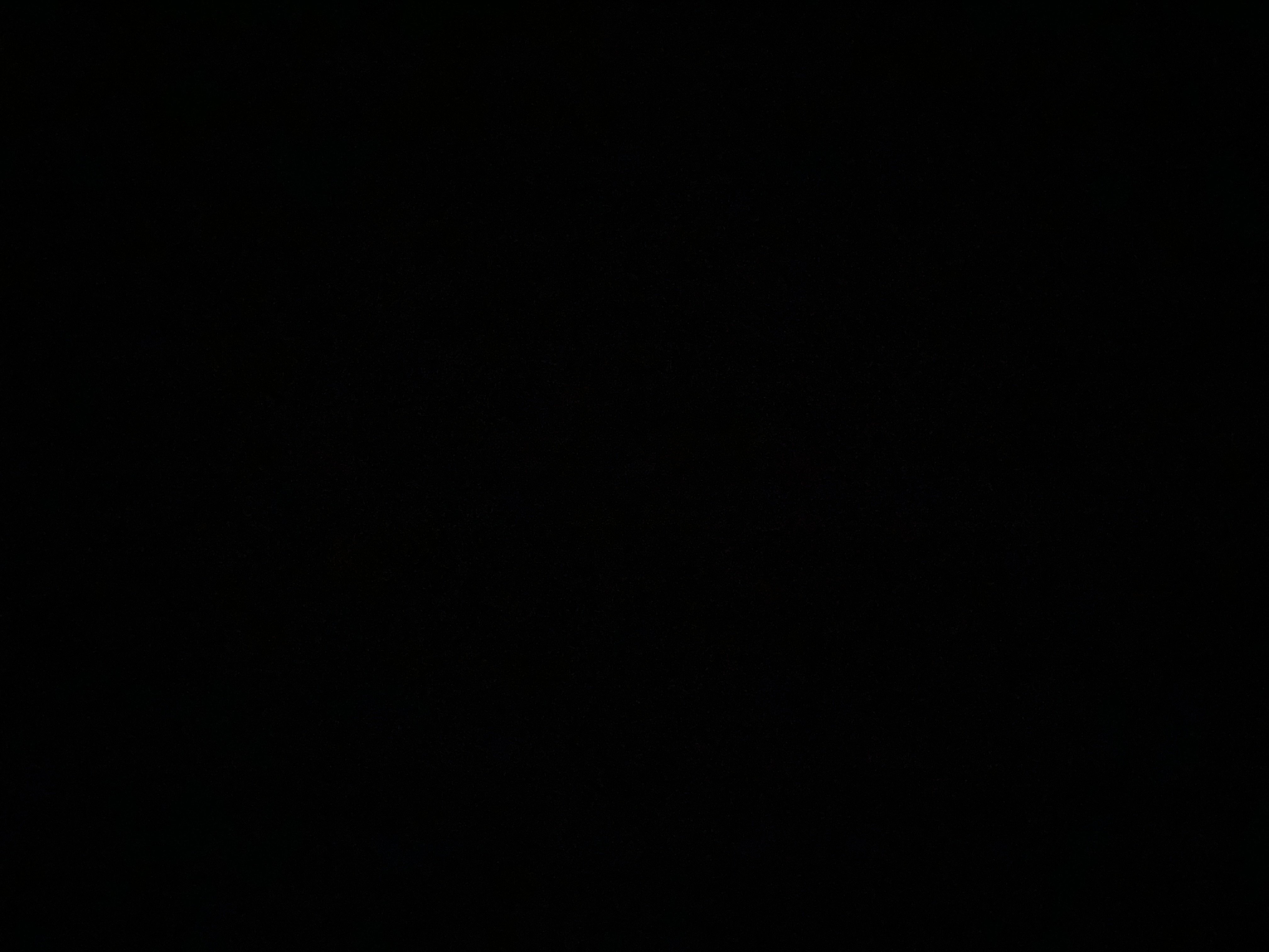 فيصل المالكي