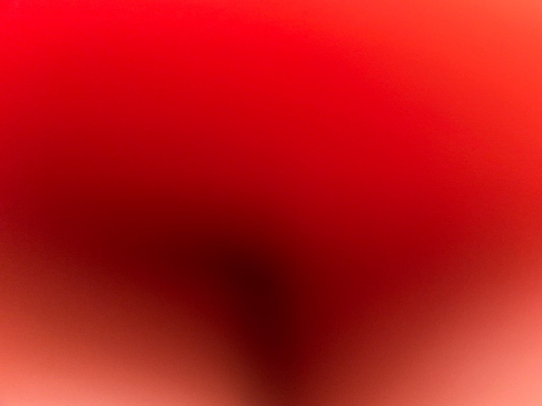 غيداء الحربي