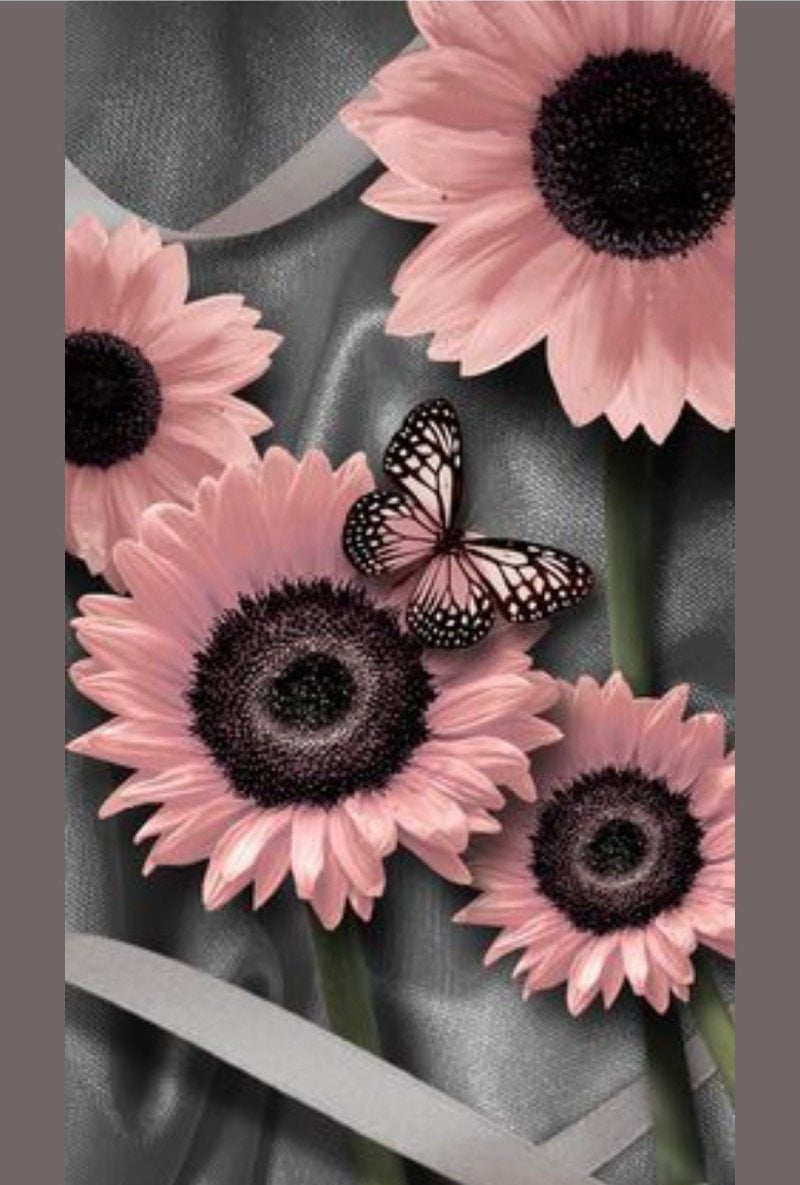 راكان اليامي