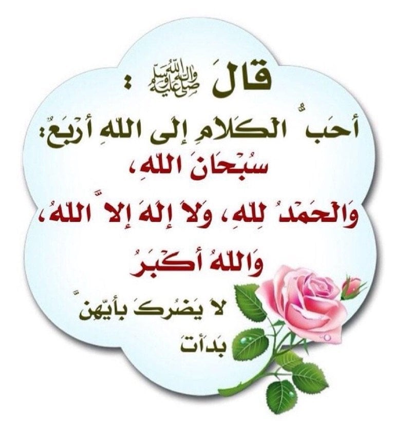 رائد القاضي
