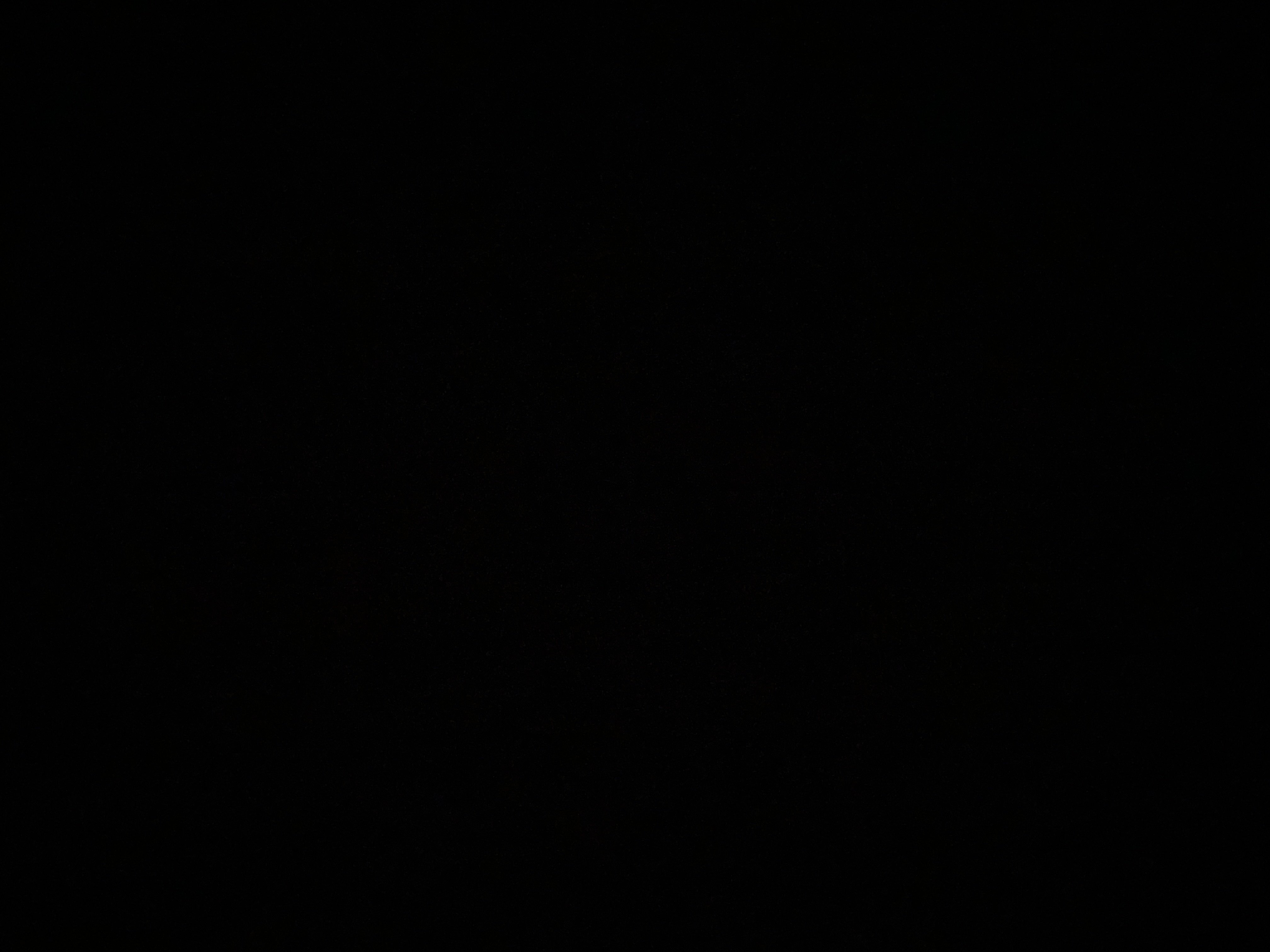 اماني حربي