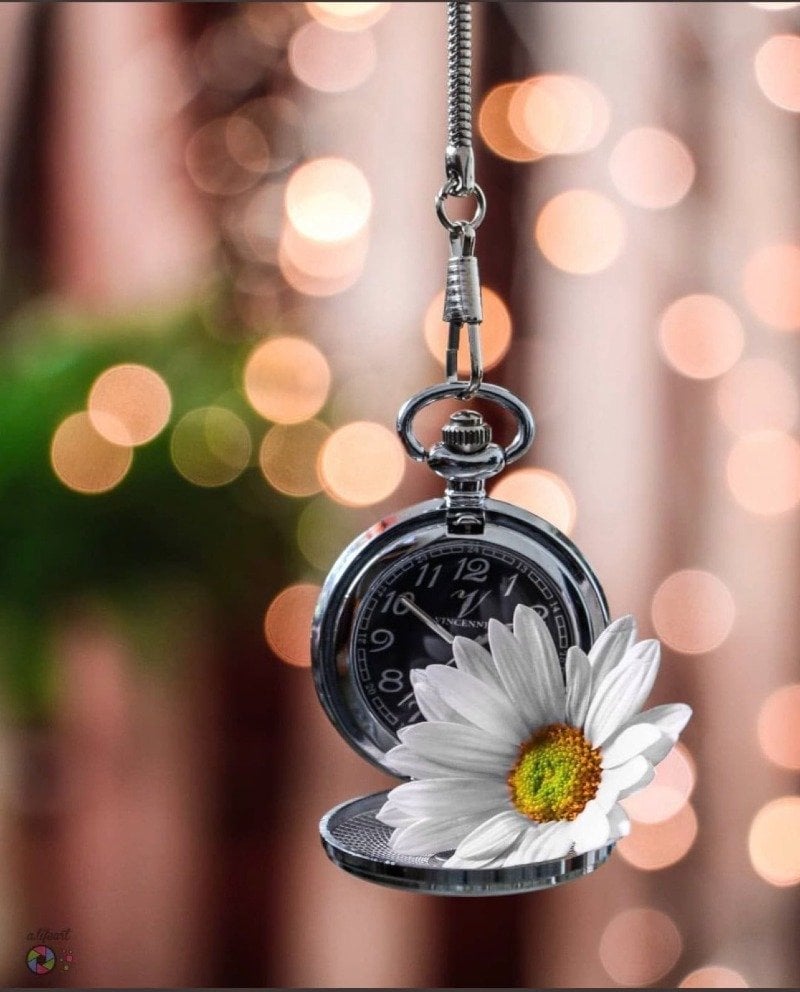 أشواق مجيدة