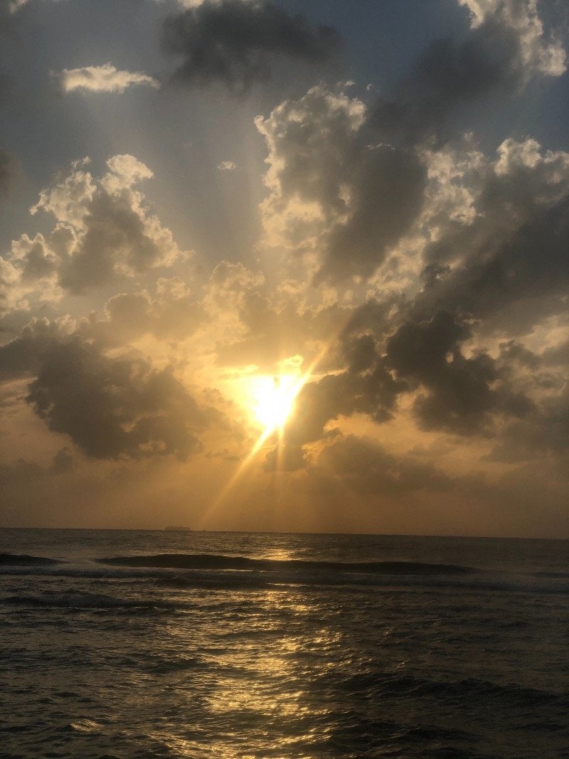 شريفه ابراهيم