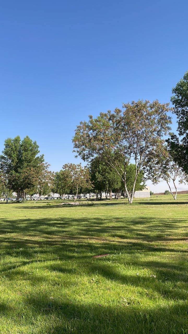 فاطمه العطوي