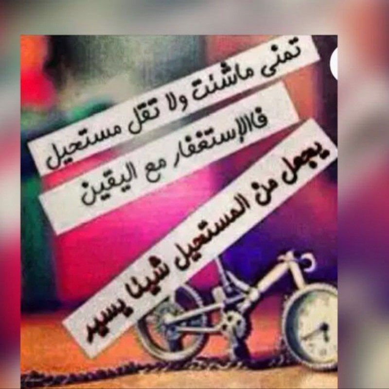 Sadia 