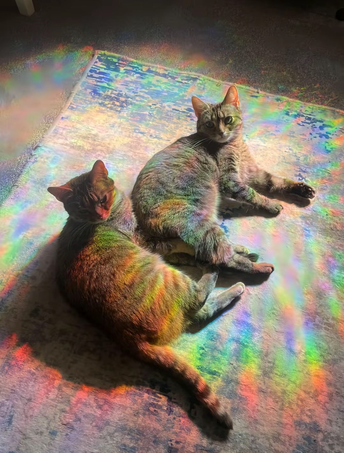 وعد الغامدي