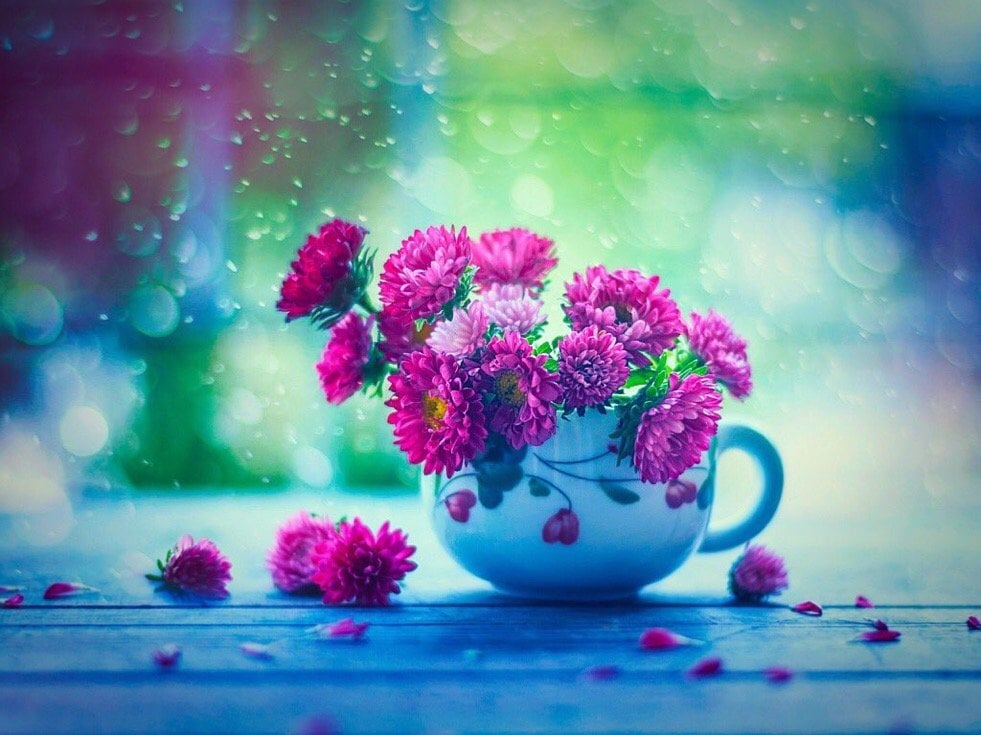 ريا عبدالله