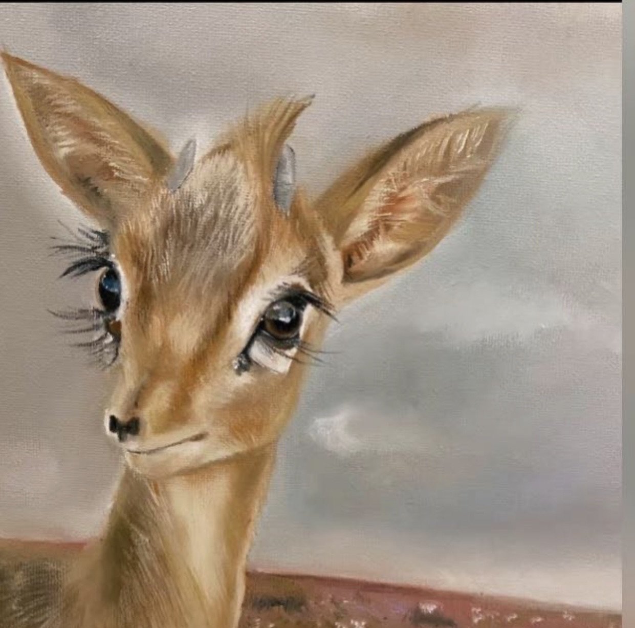 بشاير الحارثي