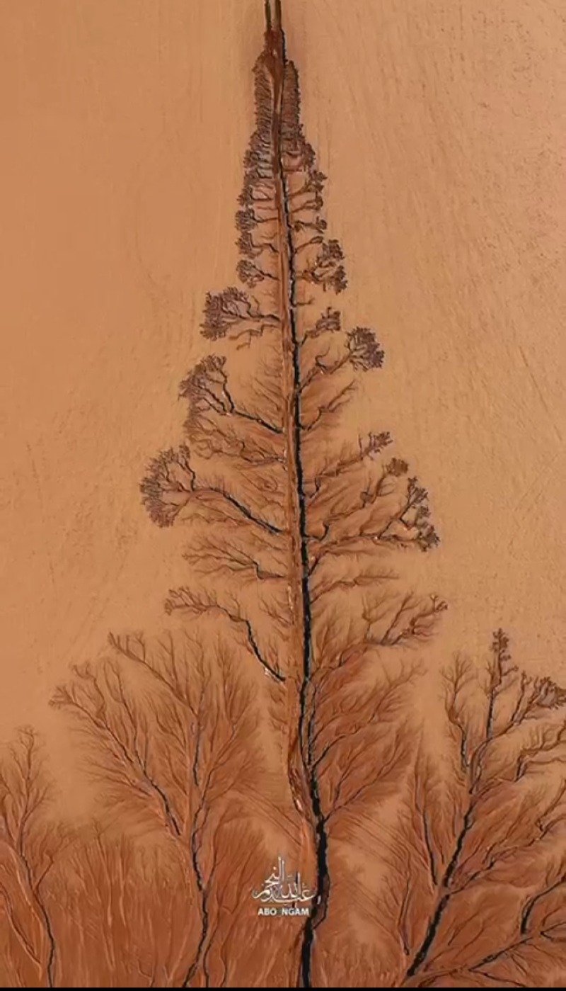 فهد عبدالله