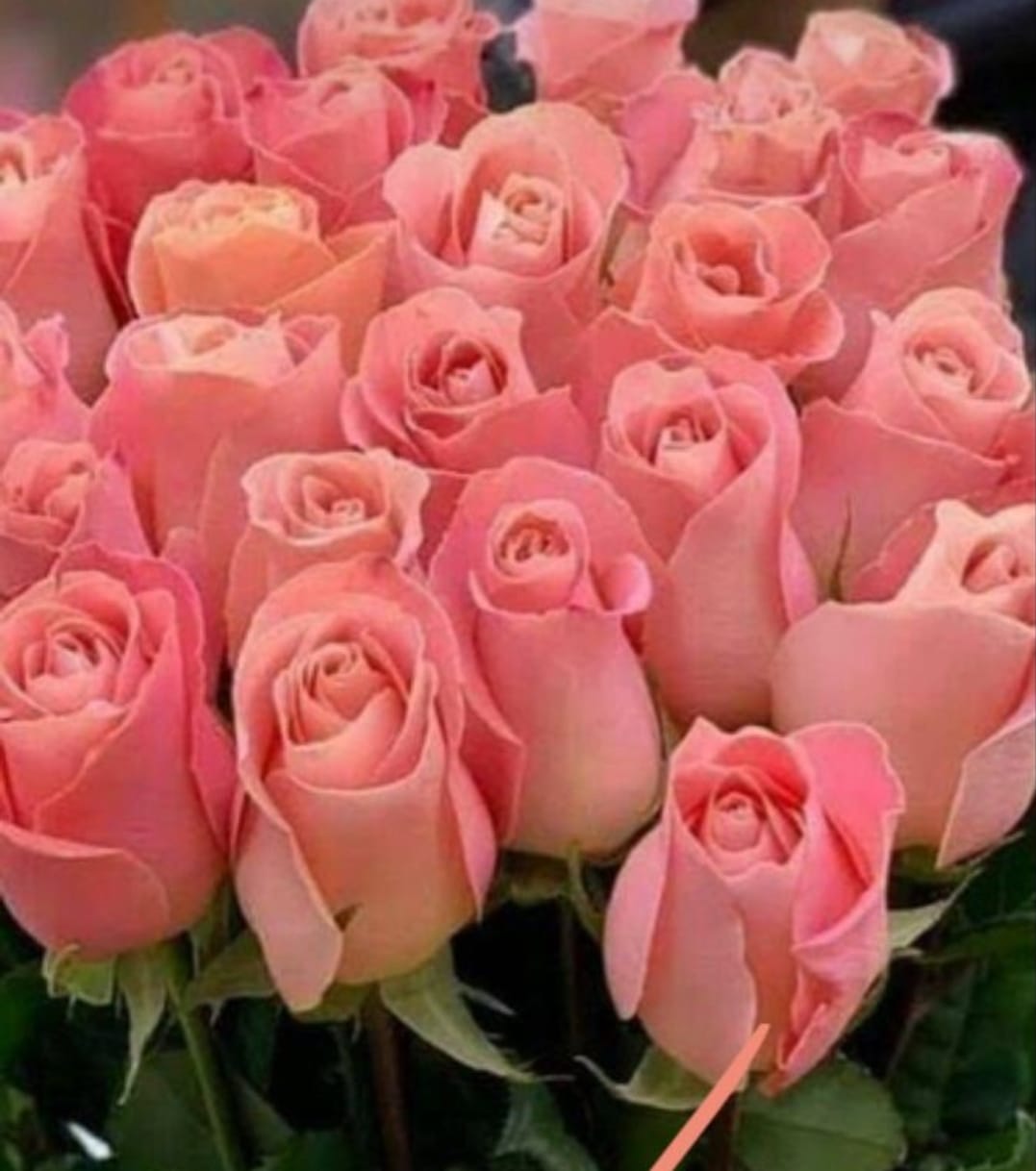 عادل المحسن