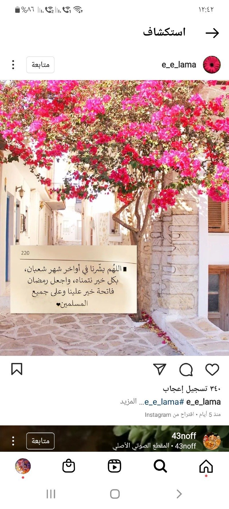 ام عبدالله العنزي
