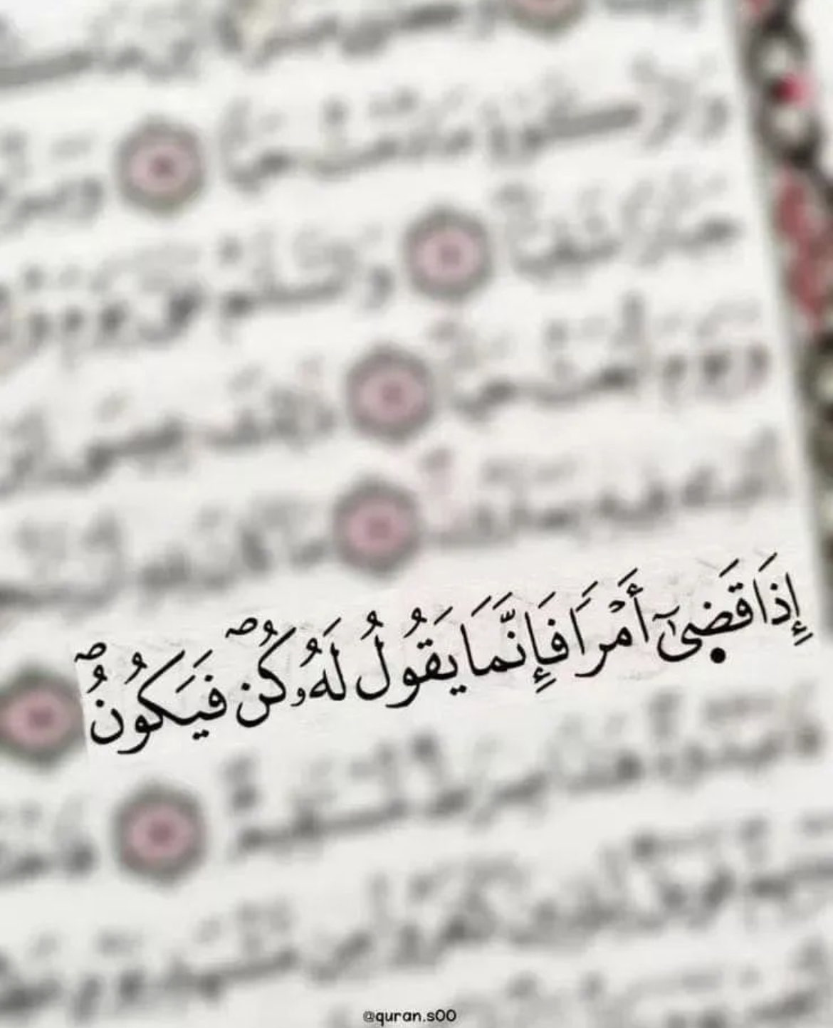 شروق العنزي