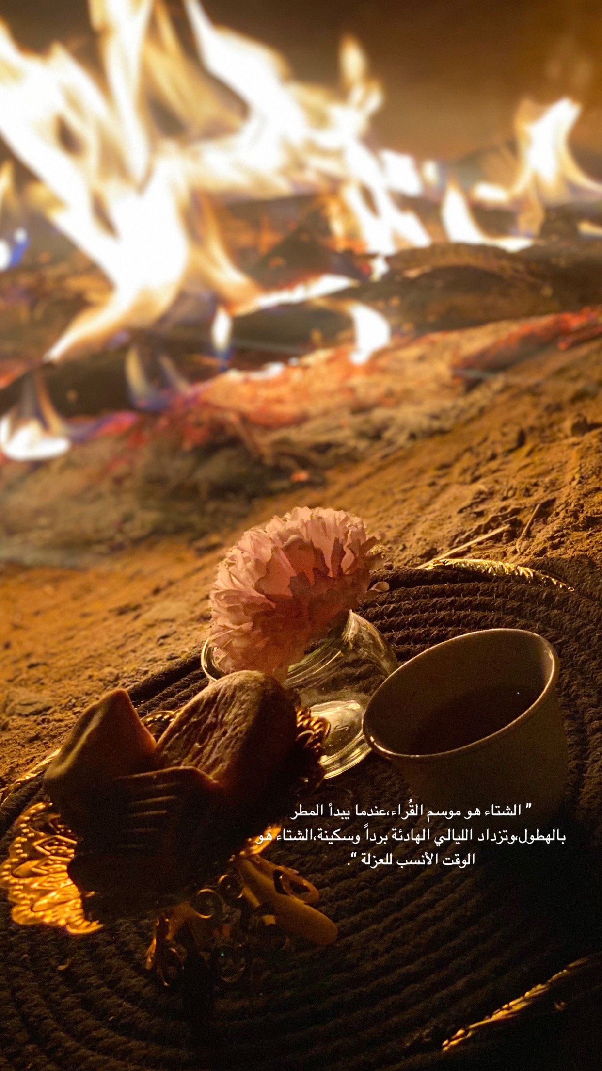 نورة العتيبي