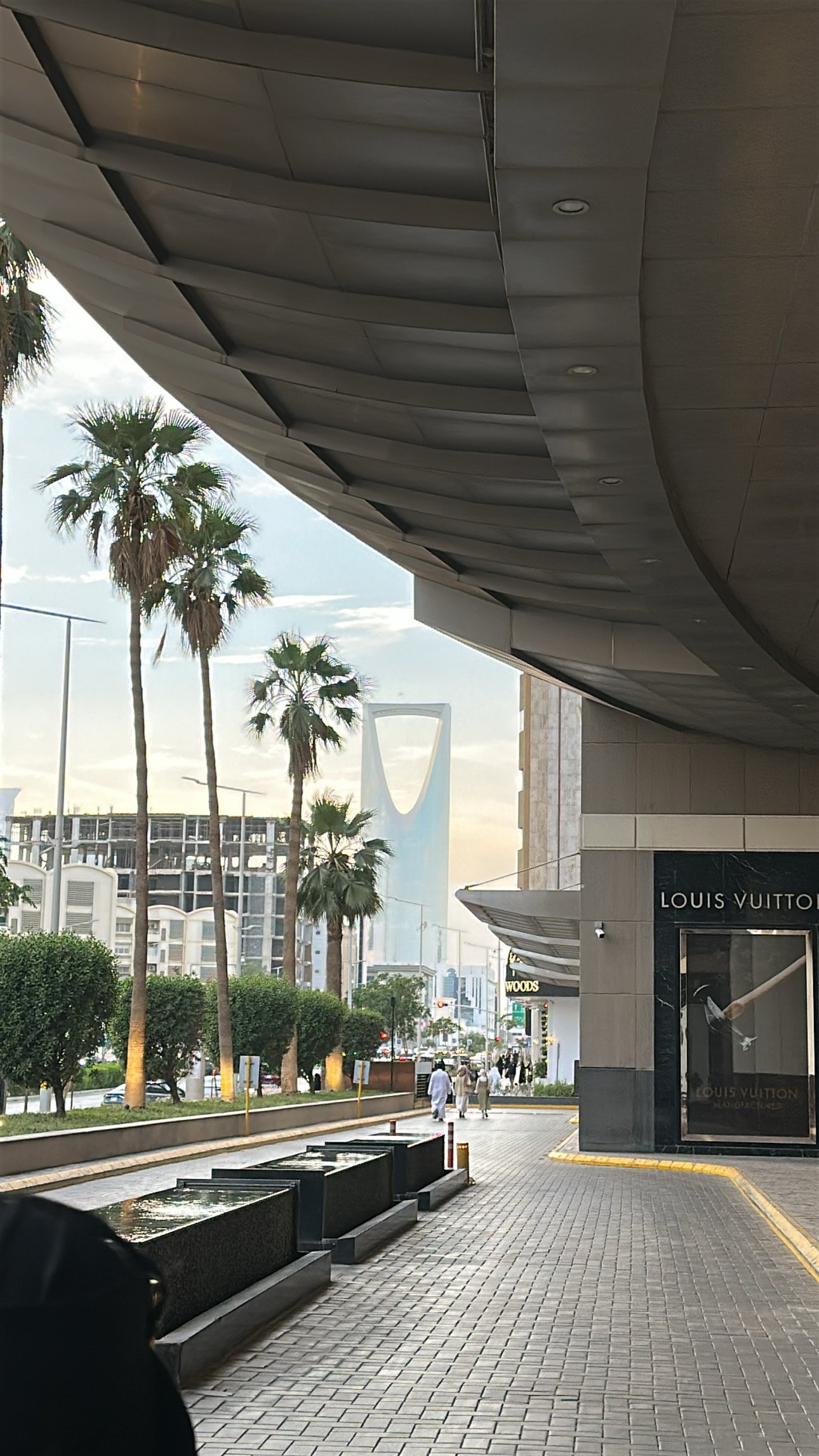 ريم النفيعي