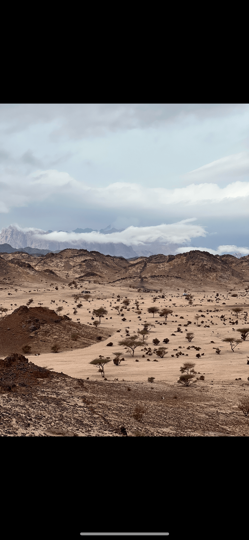 عبدالرحمن الحربي