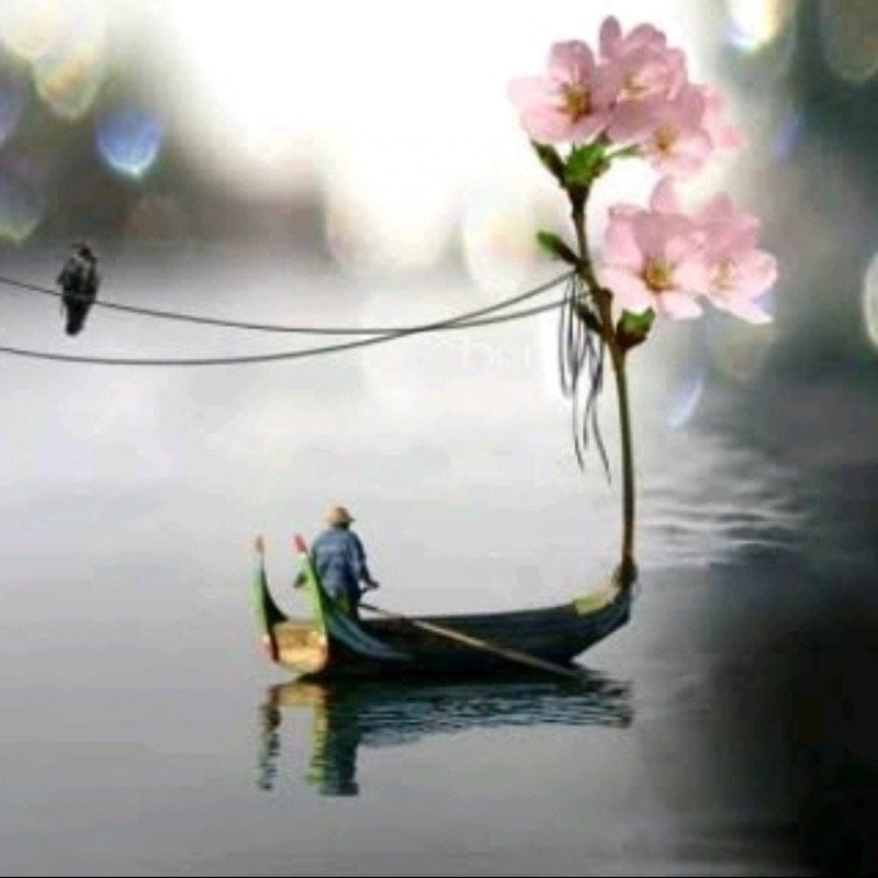 اسماء المطيري