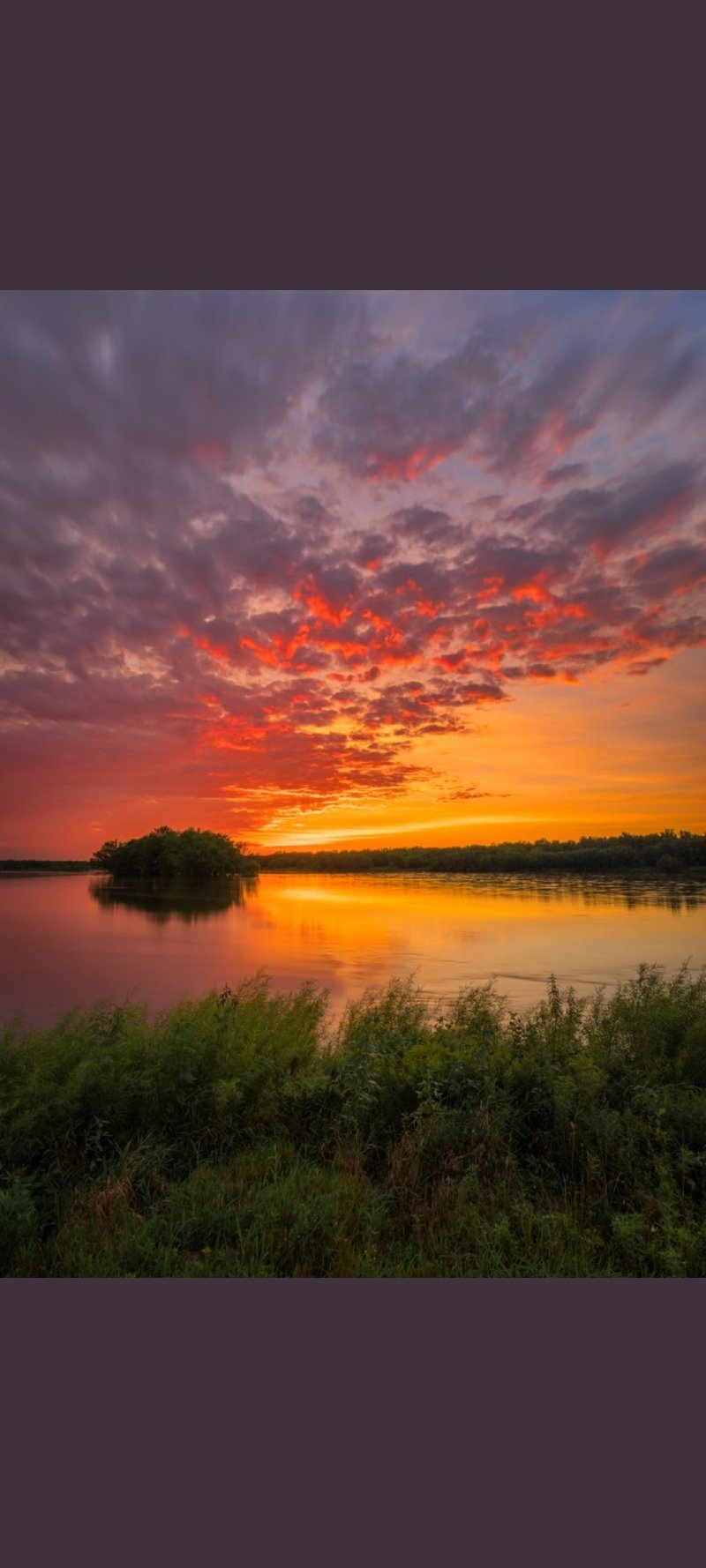 رائد الحربي