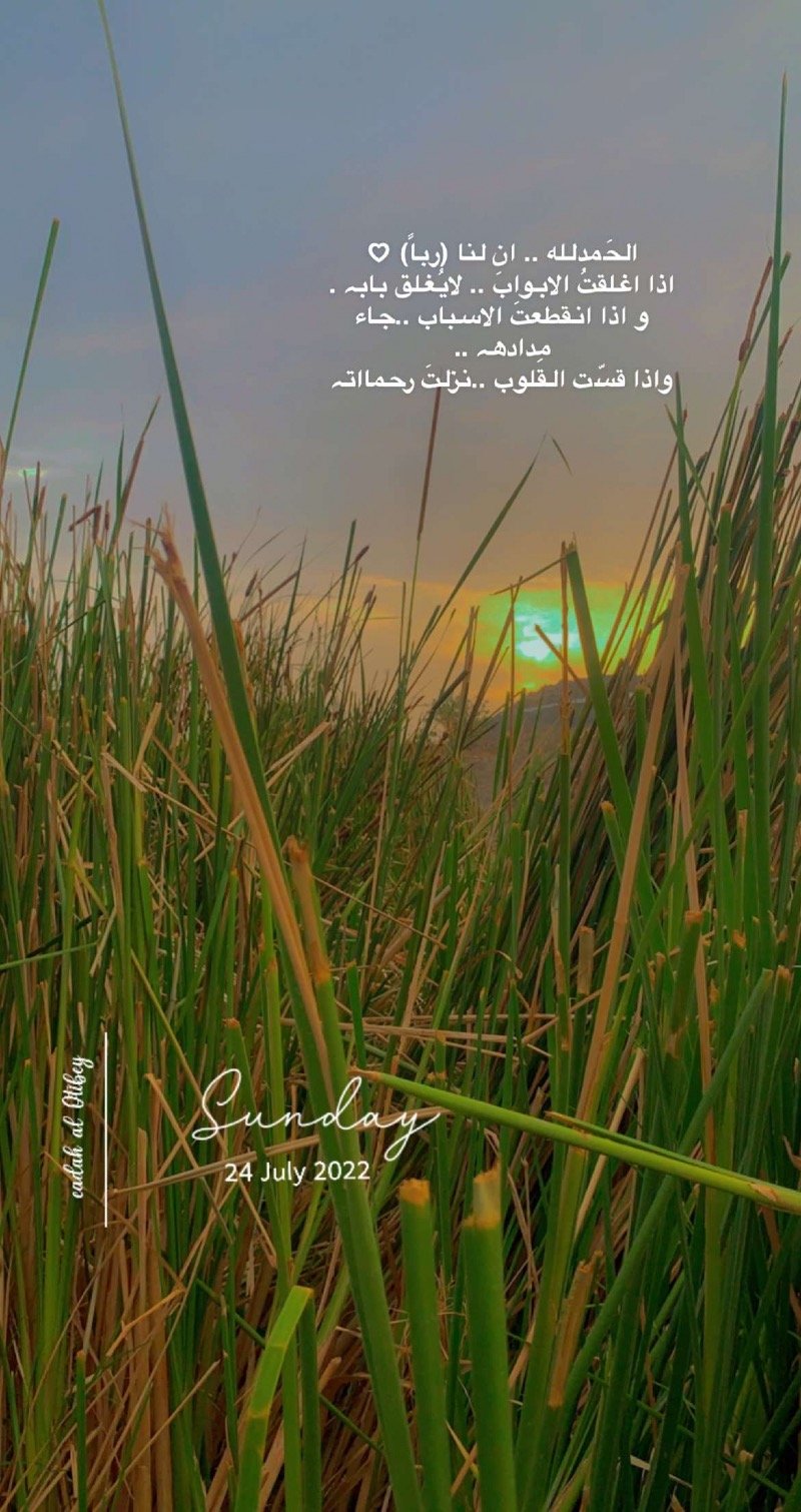 رودين العتيبي