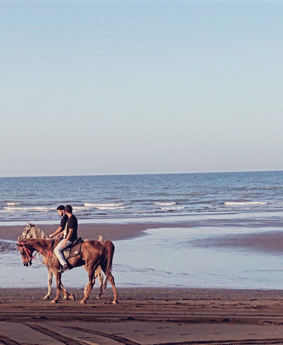 محمد العليجي