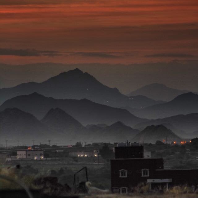 منصور العامري