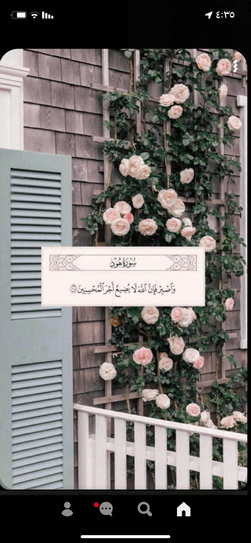 عبير العيسي