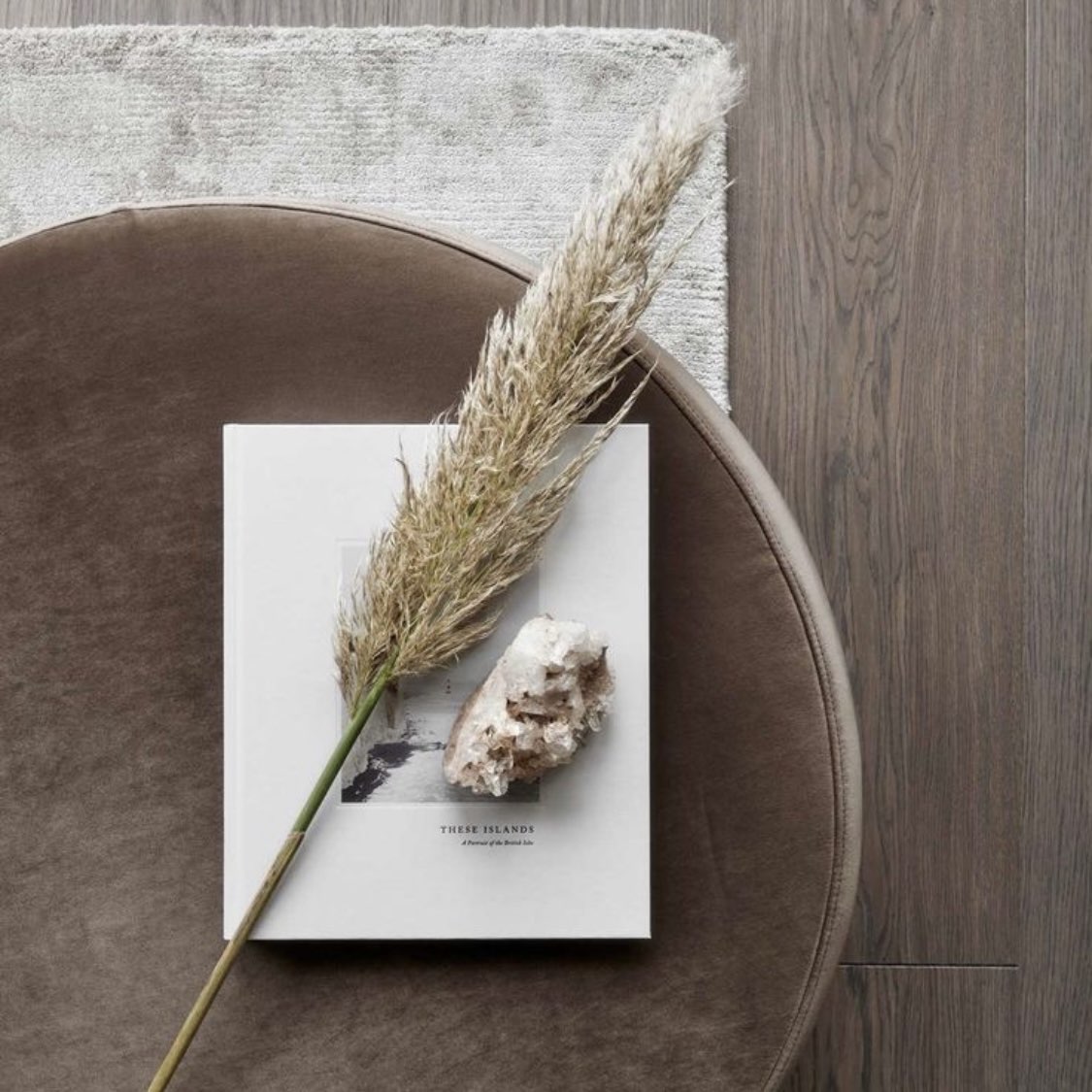 نجاح الشمري