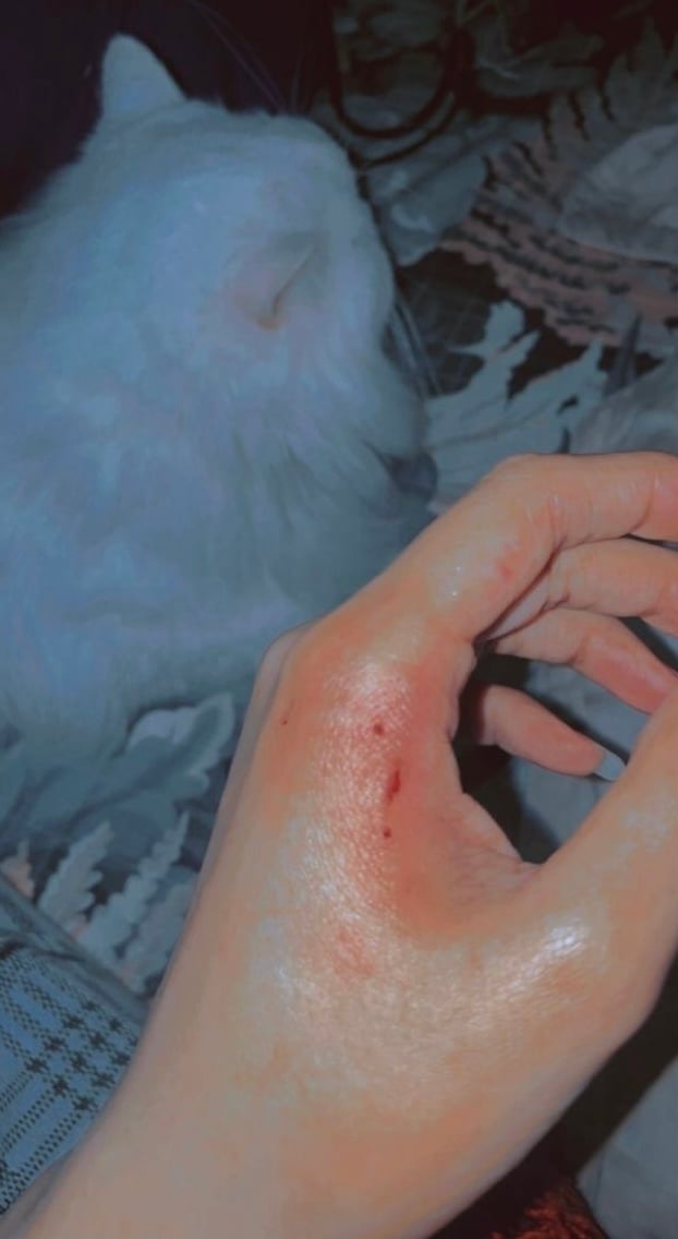 ايمان الحربي