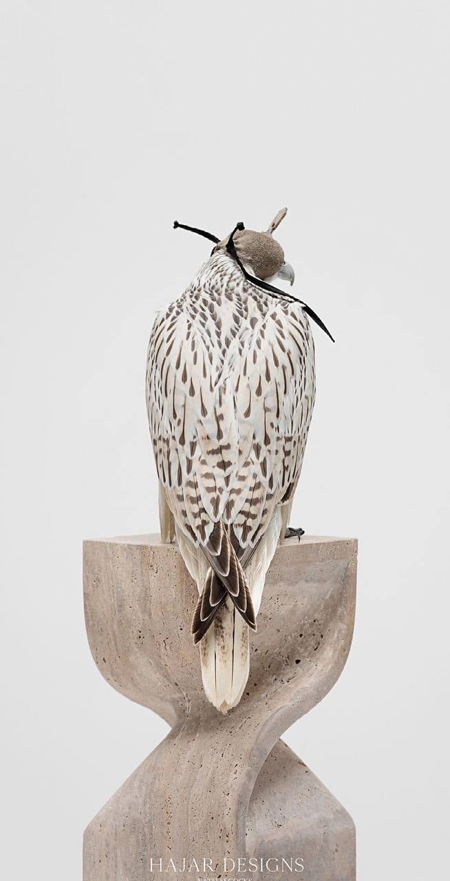 عبدالله العنزي