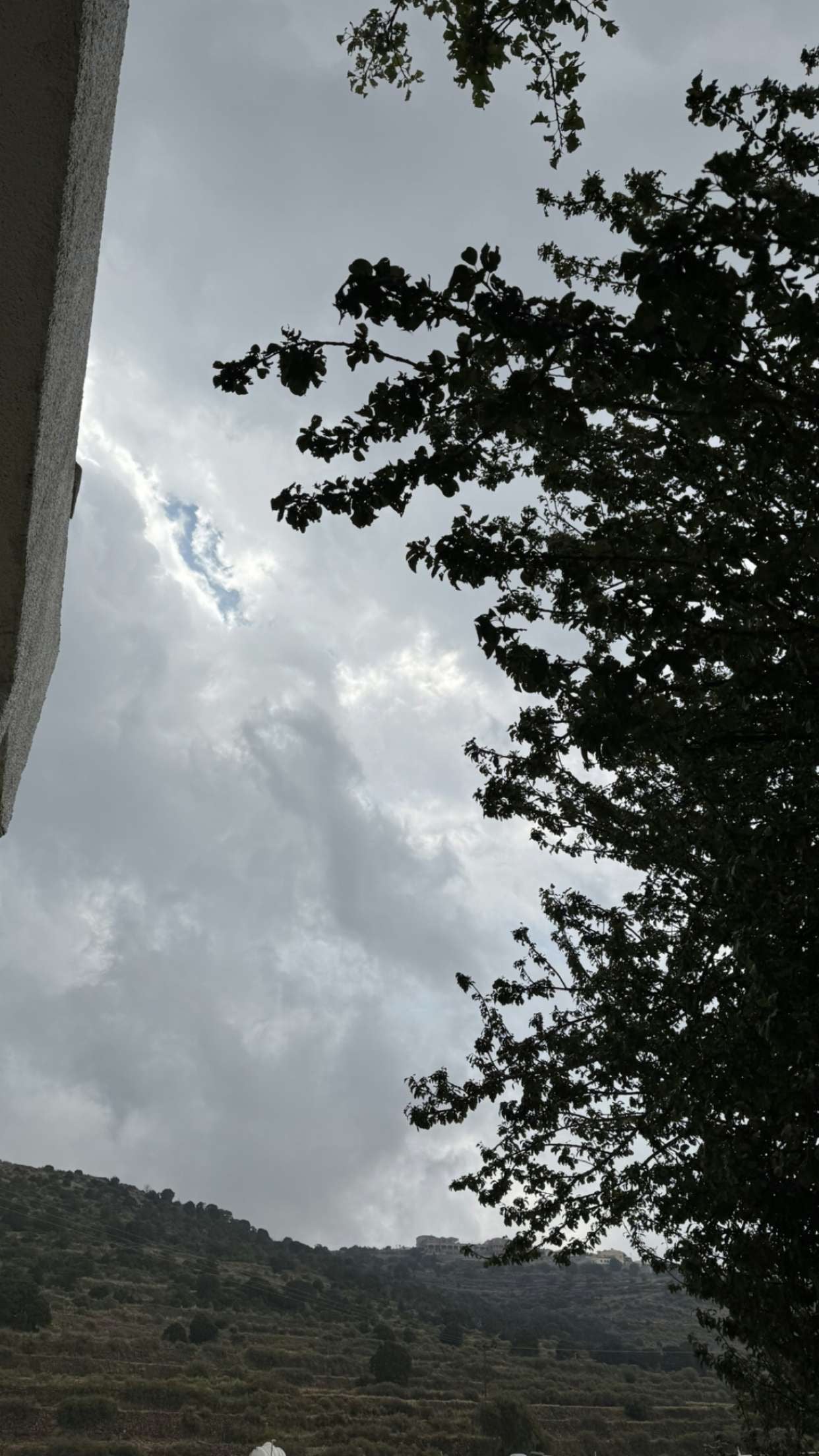 سميه المحمدي