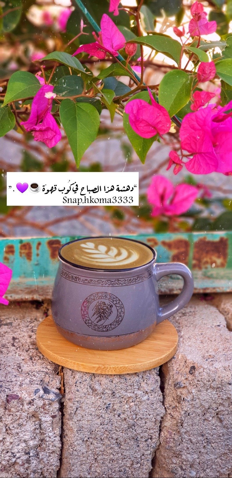 أحكام الرشيدي