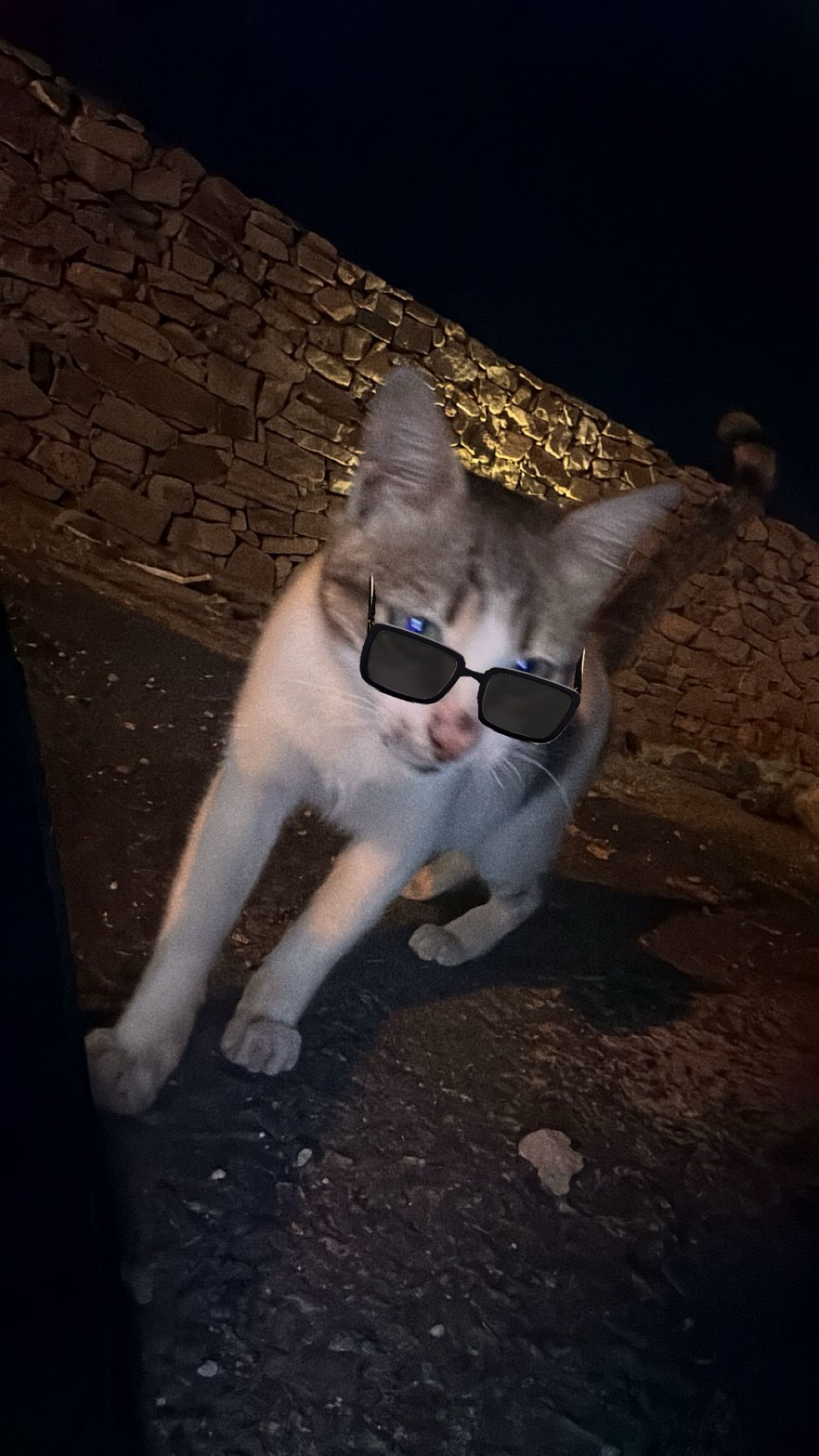 أنس البارقي