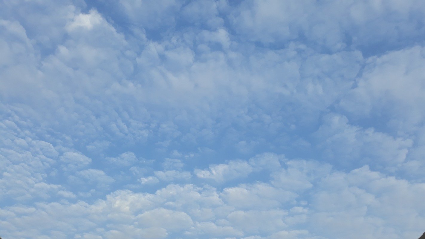 جواد العبود