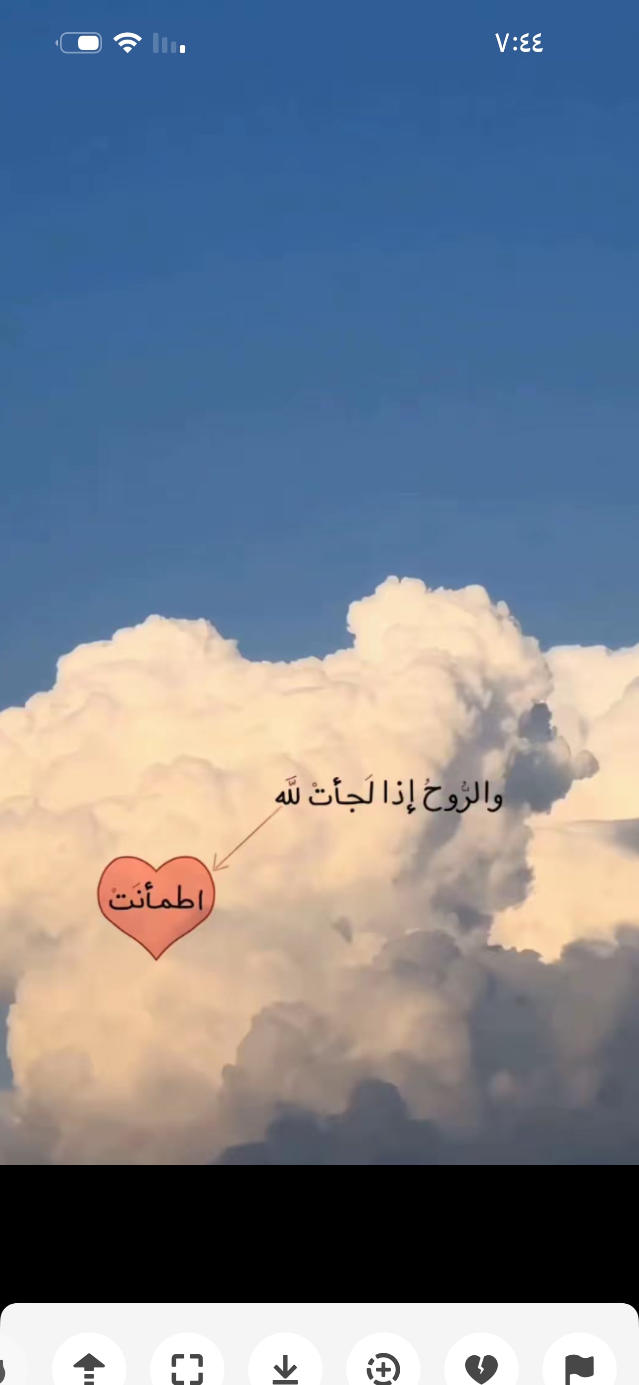 ناصر 