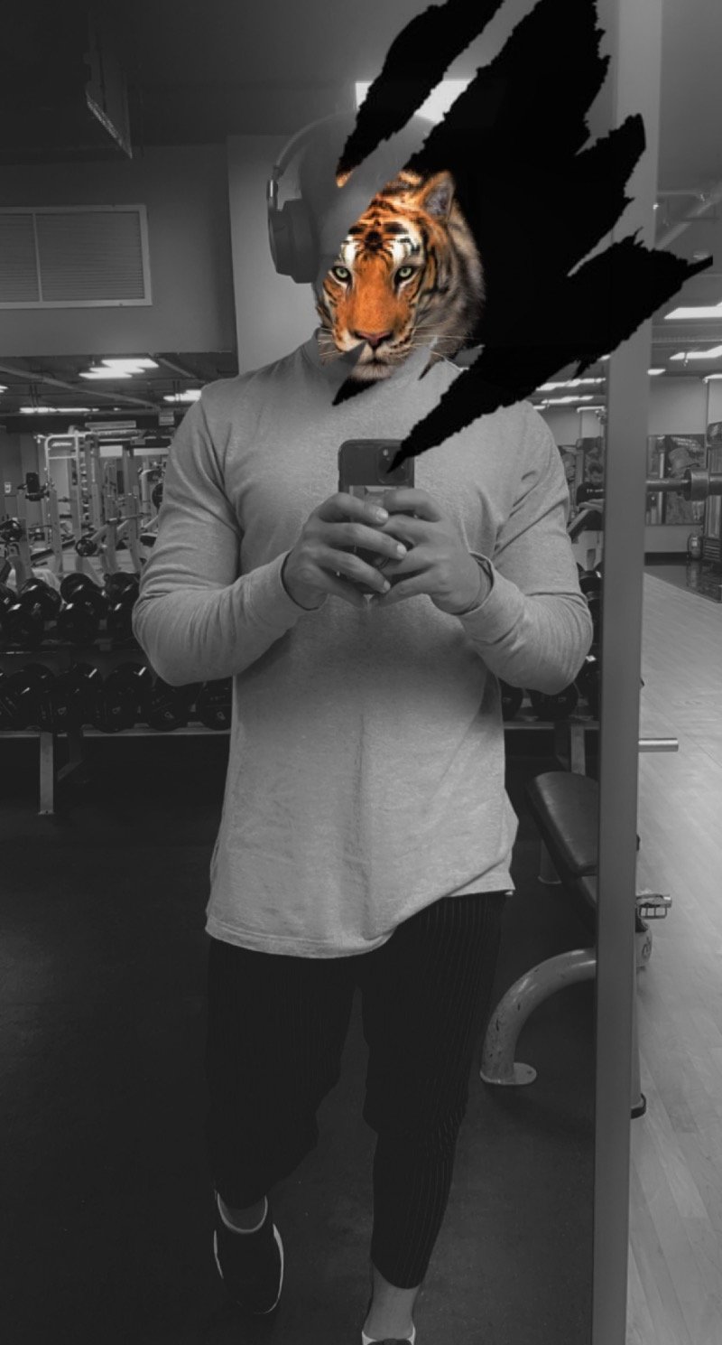 author avatar