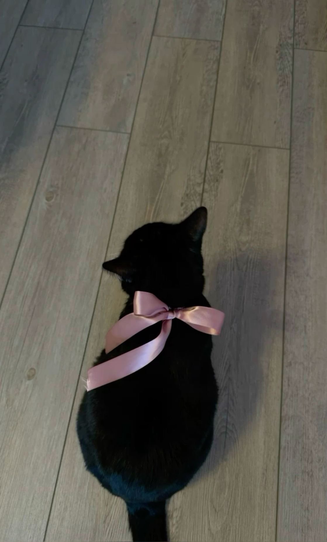 جميلة السرواني