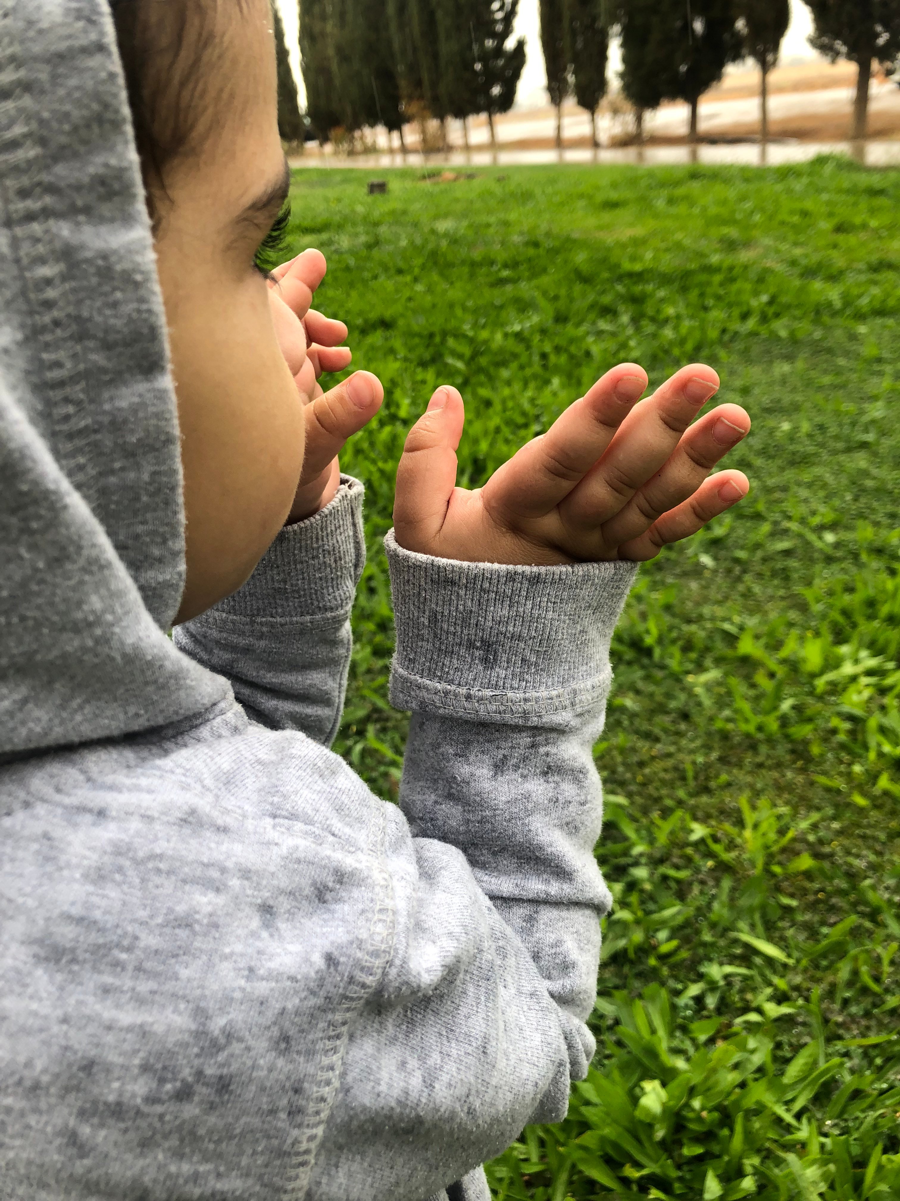 ام نواف الحربي