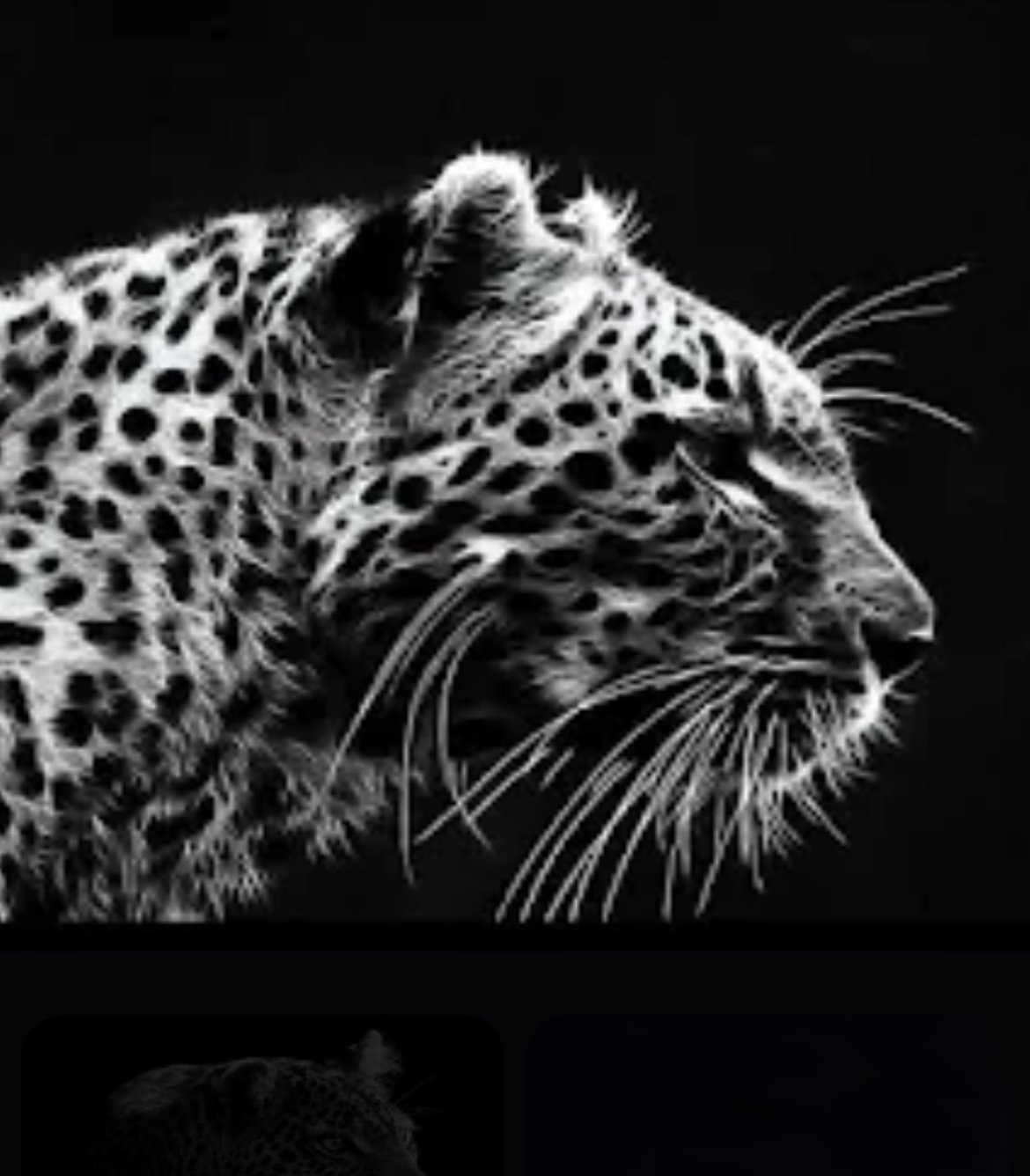 علي التميمي