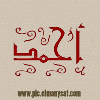 احمد الحكمي