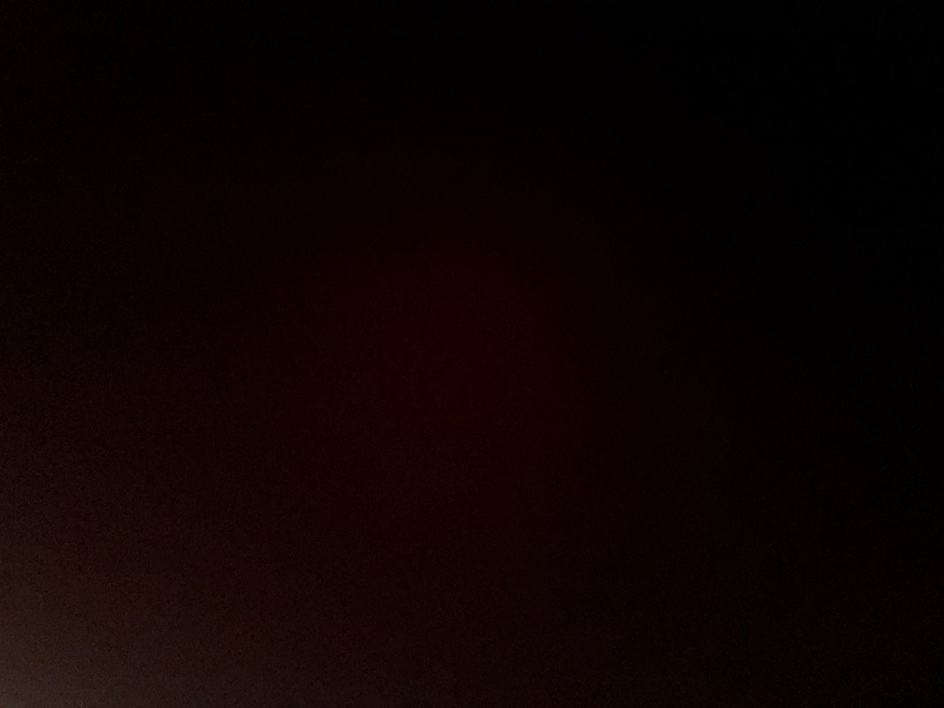 علاء المالكي