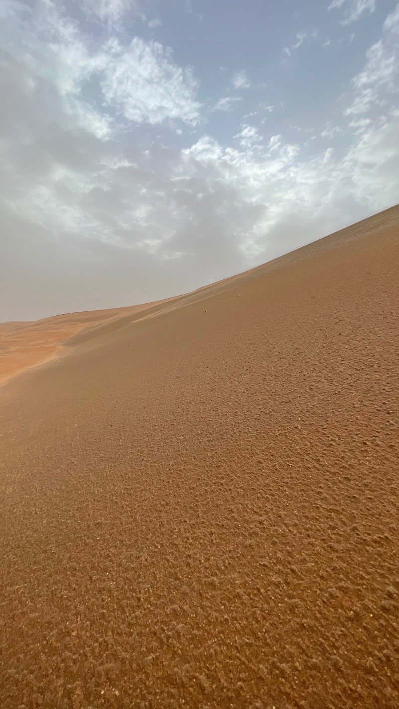 فهد الهمامي