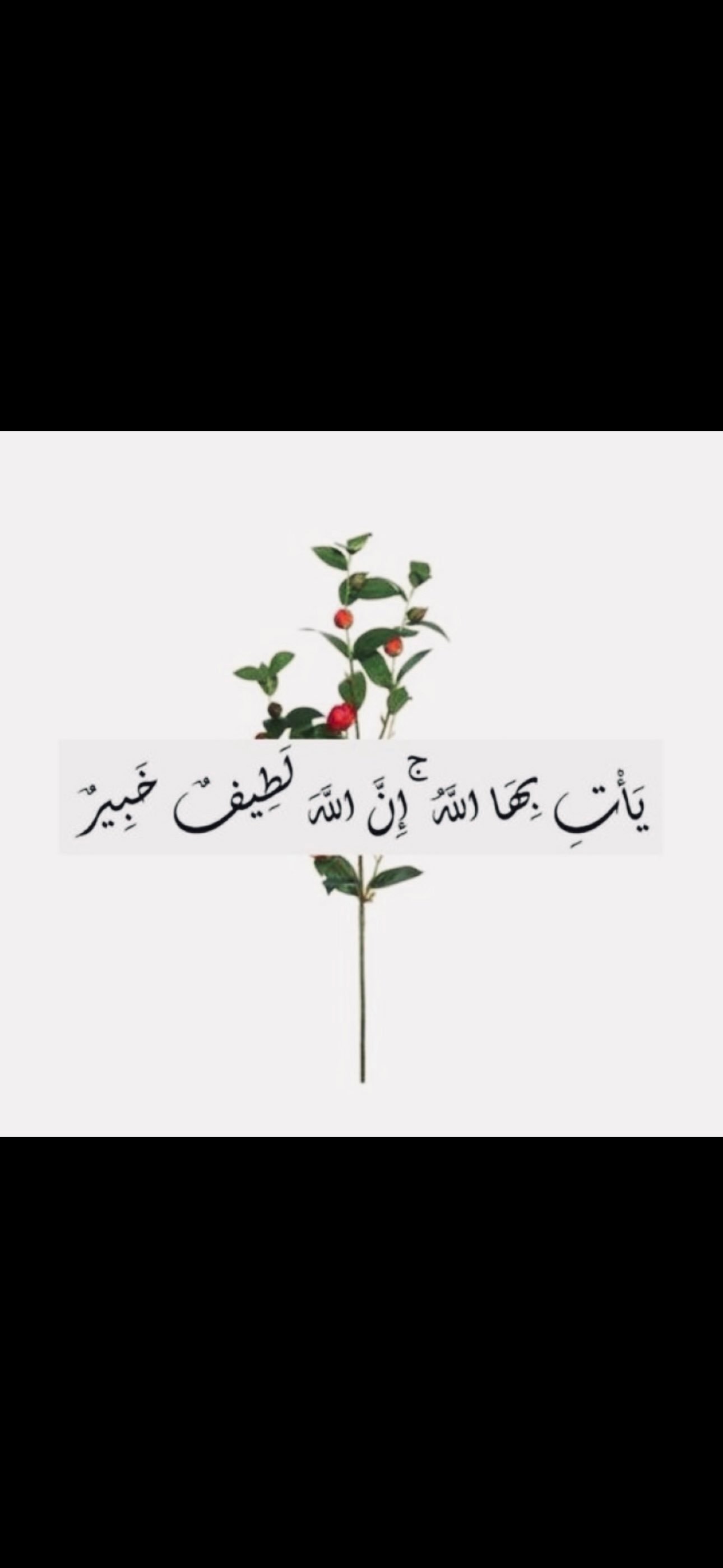 صابرين الكناني