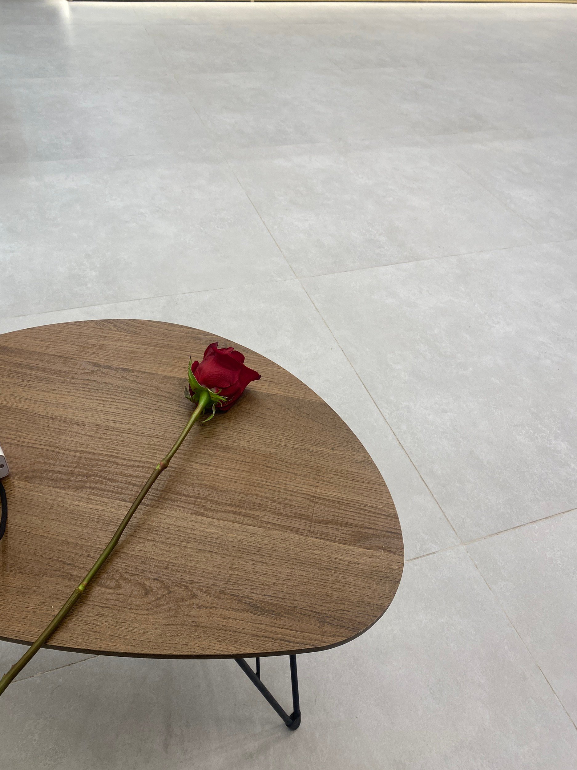 شروق عبدالله العطوي