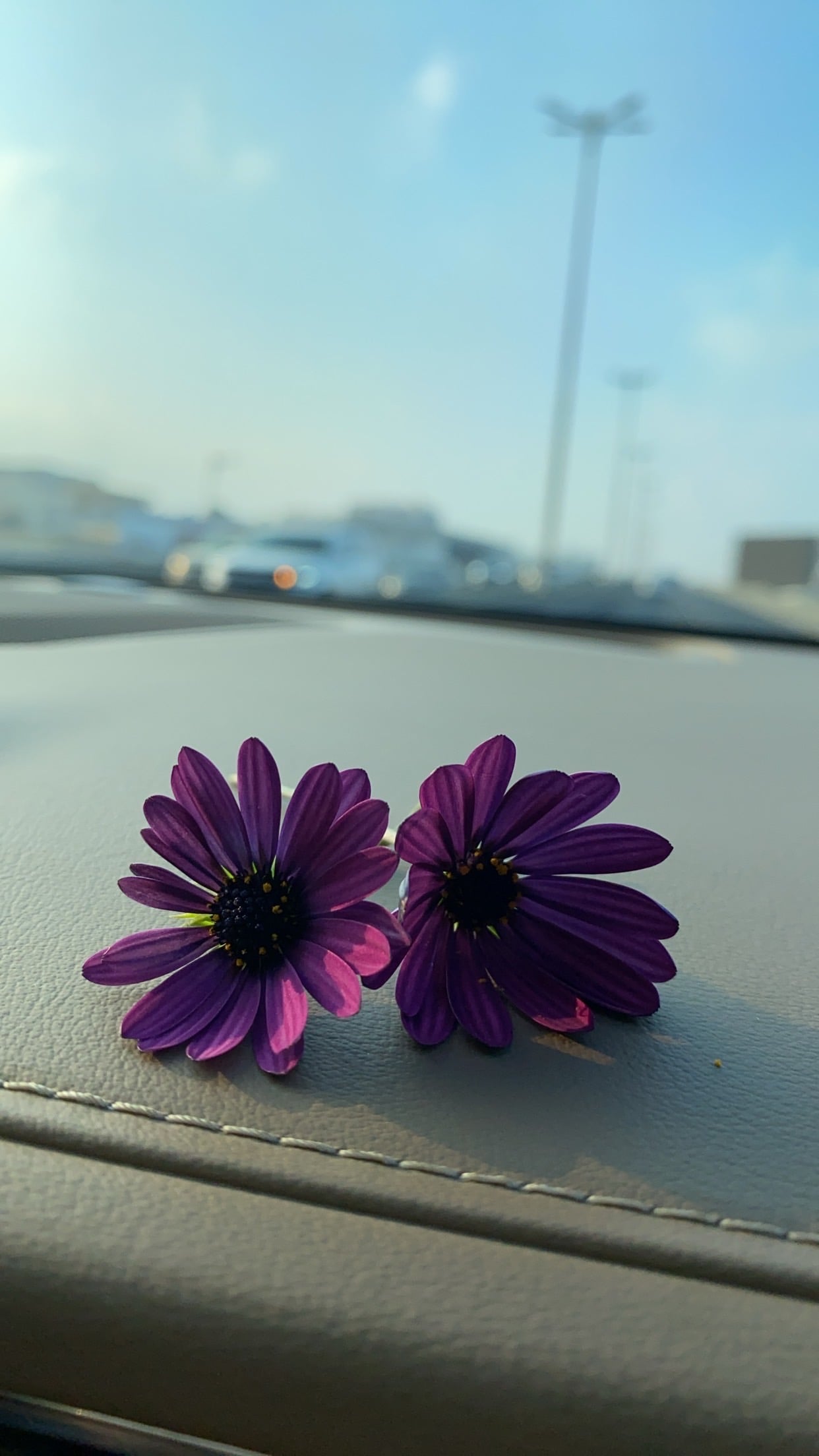 مها 