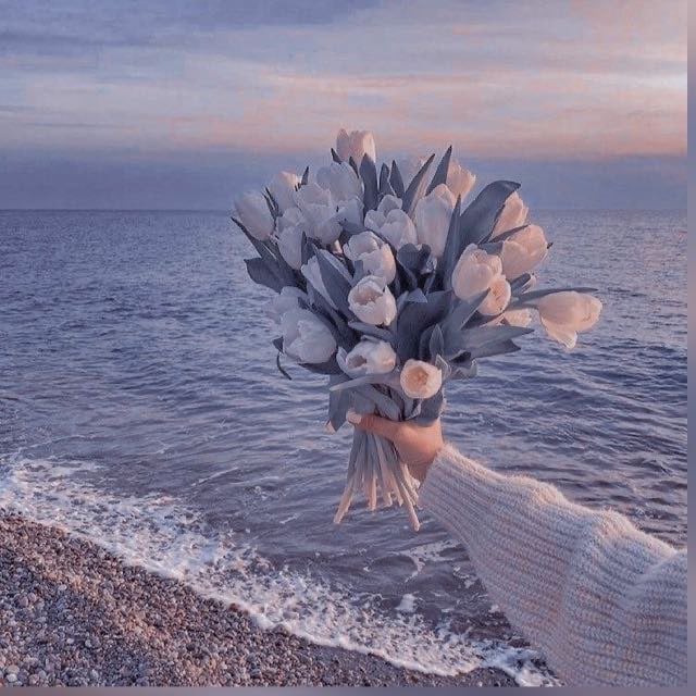 بتول الغامدي